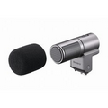 Sony Stereo Microphone